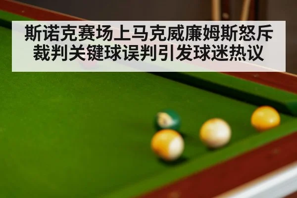 斯诺克赛场上马克威廉姆斯怒斥裁判关键球误判引发球迷热议